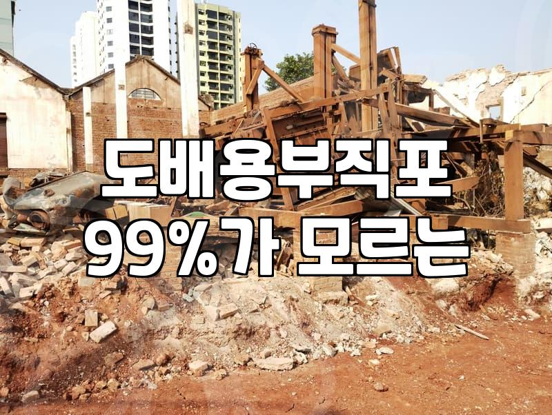 천장도배 시공 시 확인해야 할 필수 작업 조건과 비용