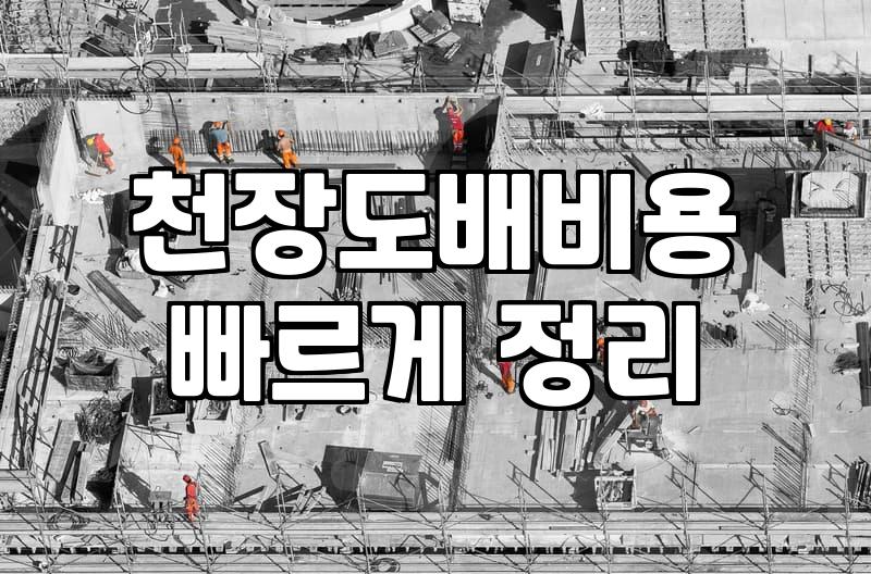 천장 도배 비용 구조와 누수 후 순서