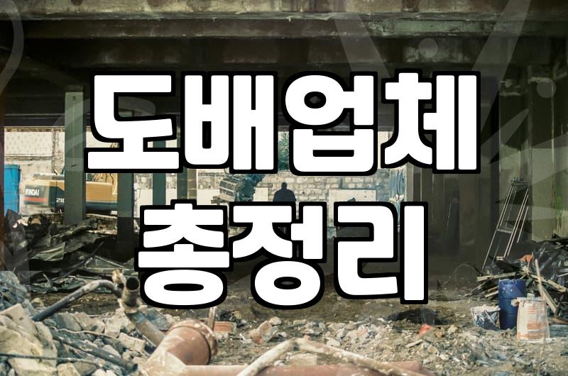 천장도배비용 산정 기준과 평형별 실제 시공 단가