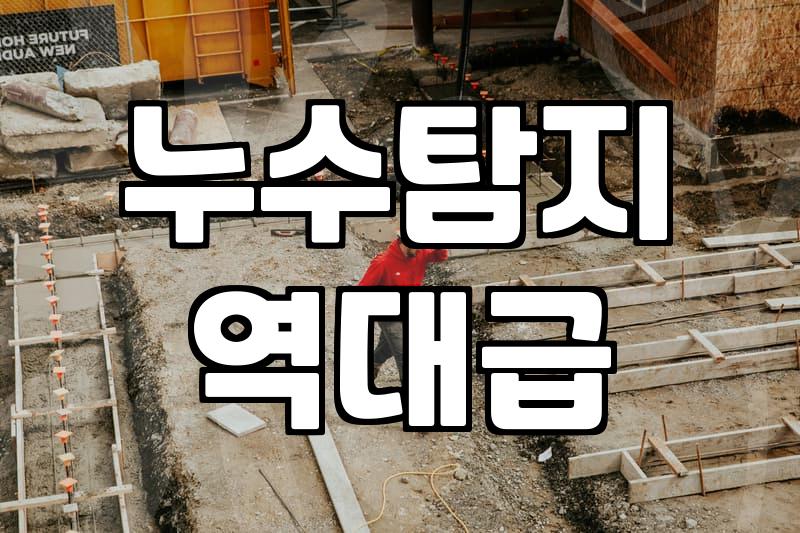 누수와 마주했을 때, 전문가보다 먼저 알아야 할 현실적인 대응