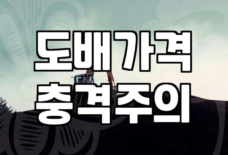 천장도배비용 결정하는 요소와 실제 시공 단가