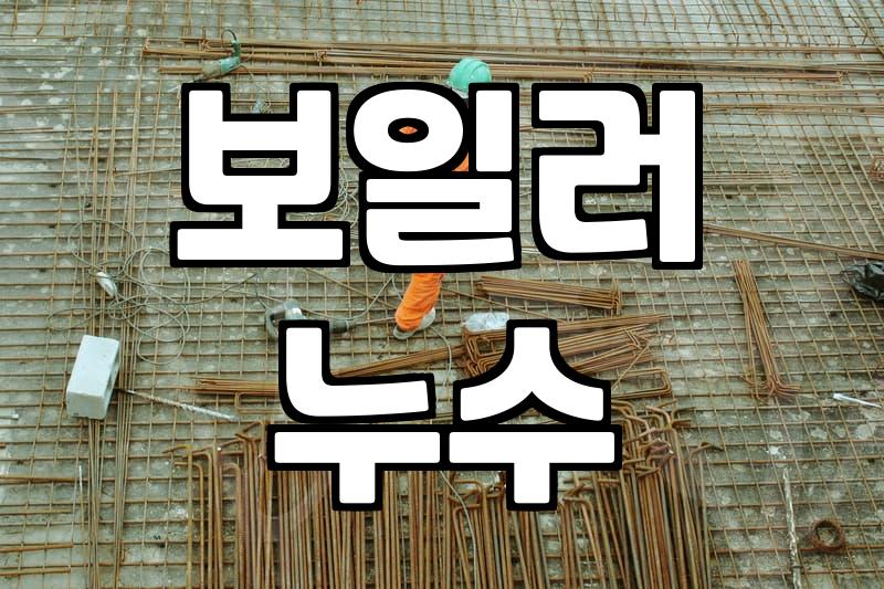 보일러 밑에서 물이 새길래 당연히 교체해야 하는 줄 알았다