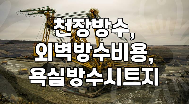 옥상과 욕실 누수 해결을 위한 방수시트 종류별 특징과 현실적인 시공 비용 비교