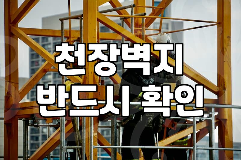 천장도배 비용과 시공 전 반드시 확인해야 할 체크리스트