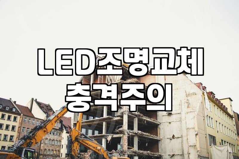 집안 조명 관리와 벌레 유입 대처하는 현실적인 방법